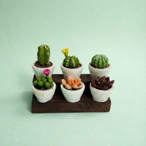 Miniature Cactus and Succulent Decor (Set of 6)